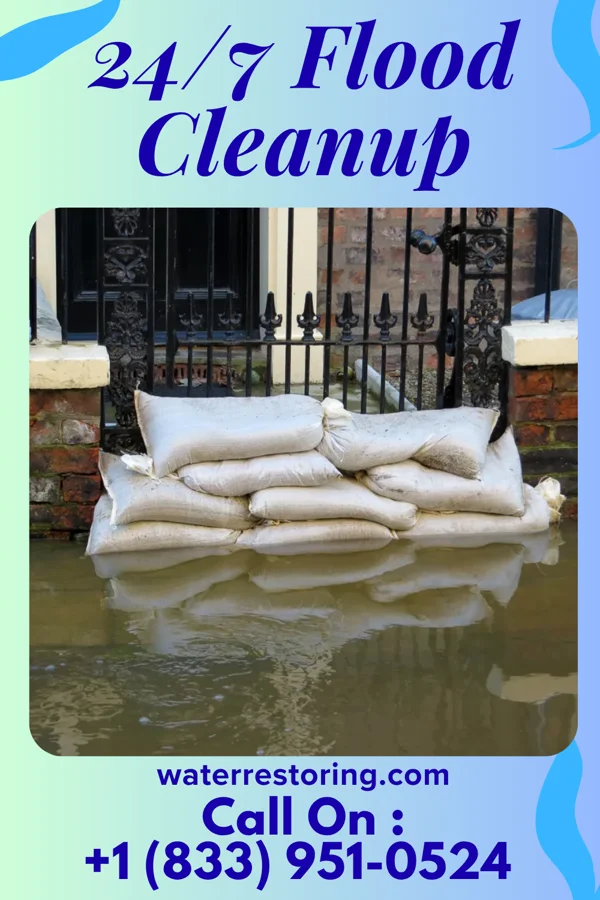 24/7 Flood Cleanup in Crosby, MS