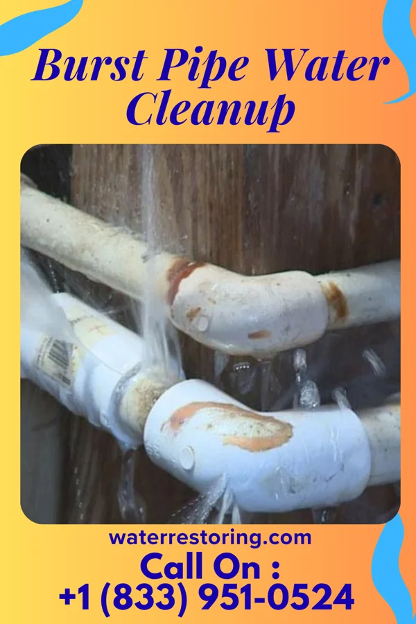 Burst Pipe Water Cleanup in Crosby, MS