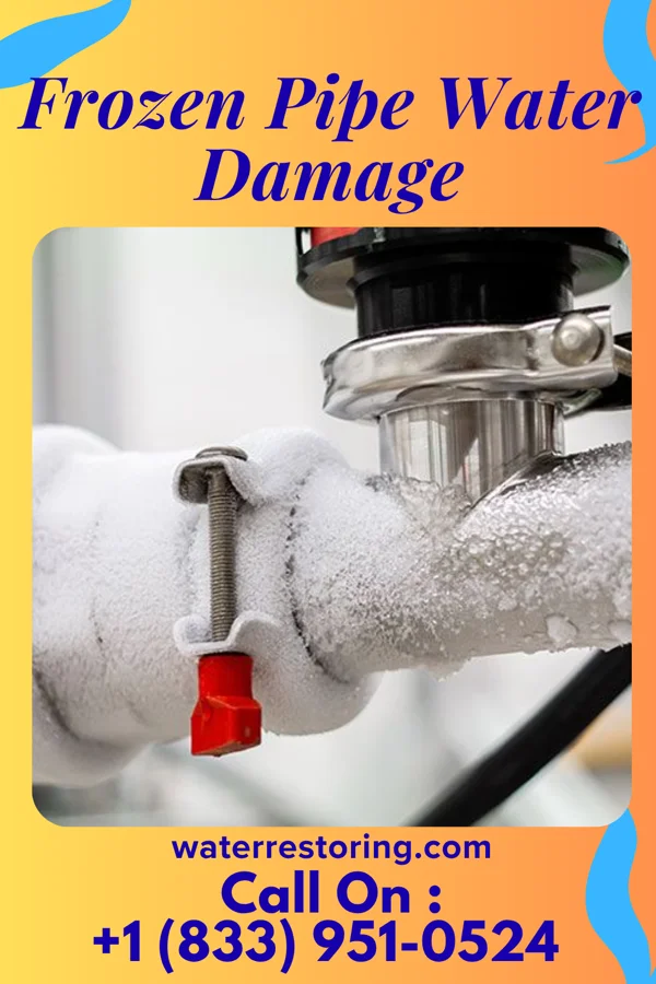 Frozen Pipe Water Damage in Crosby, MS