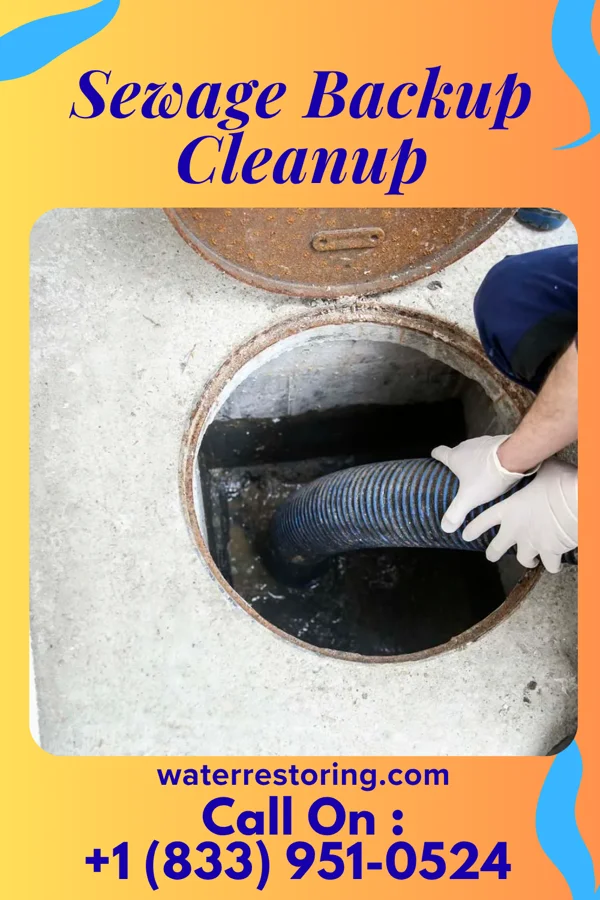 Sewage Backup Cleanup in Crosby, MS